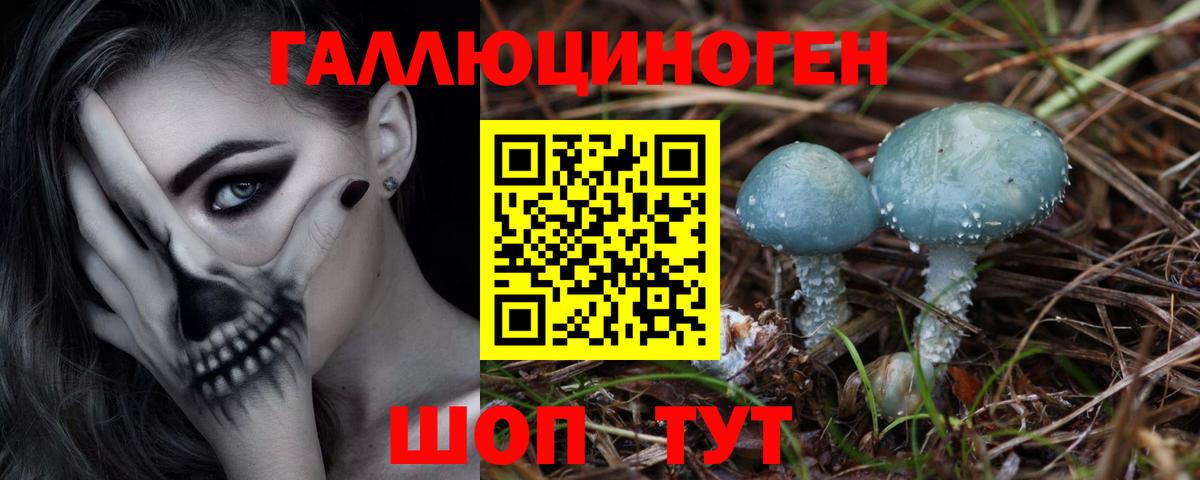 продажа наркотиков  Галлюциногенные грибы мухоморы  Вход с VPN  Дзержинск 