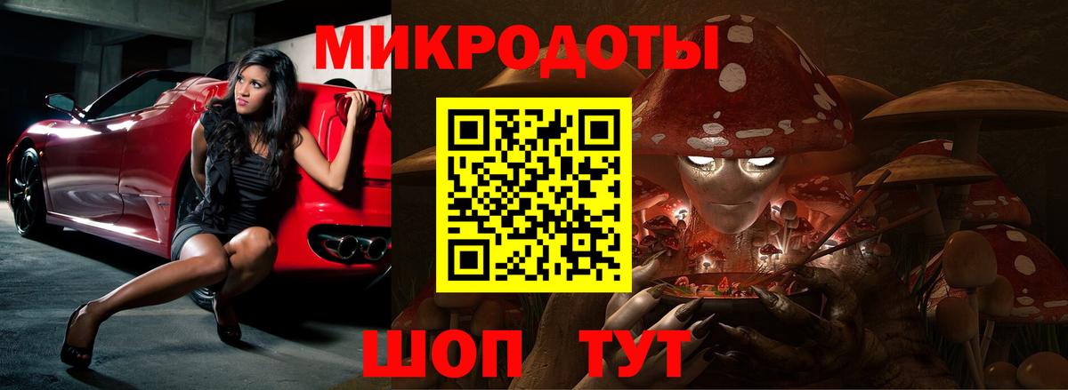 Псилоцибиновые грибы Cubensis Дзержинск